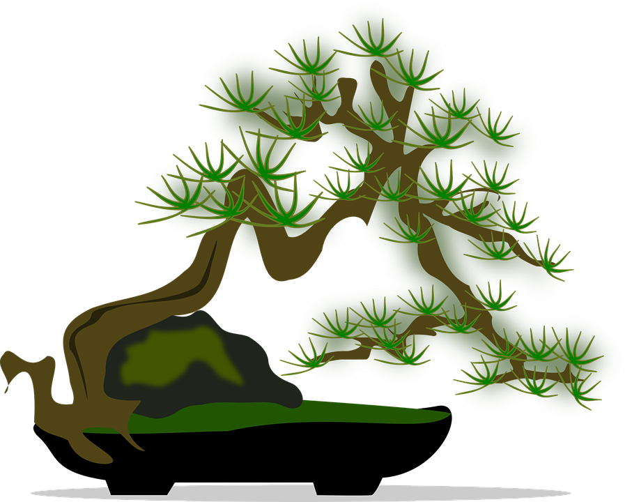Stylized Bonsai Tree Illustration 907x720 PNG image with a transparent background, free high-resolution download