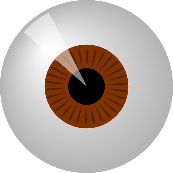 Stylized Brown Iris Eye Clipart