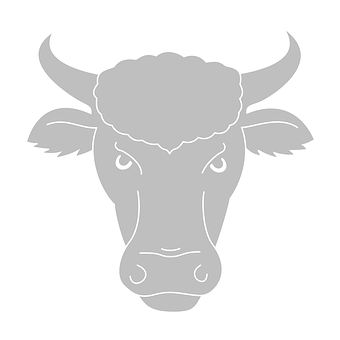 Stylized Bull Head Graphic