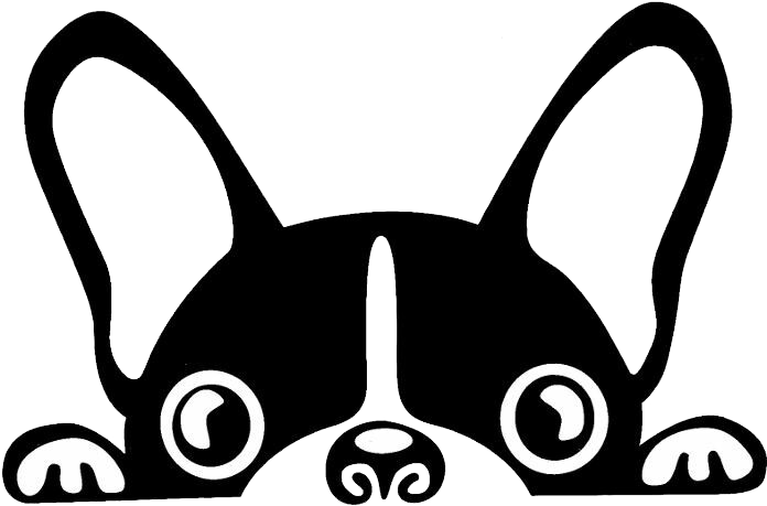 Stylized Bulldog Face Graphic PNG with transparent background