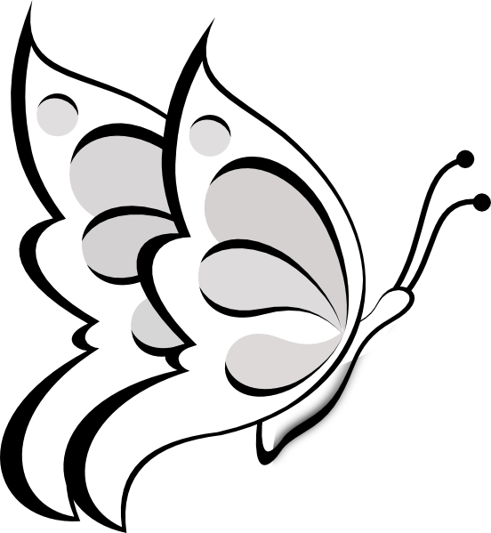 Butterfly Papillon Dog Free Content Clip Art - Outline Images Of Butterflies, HD Png Download PNG with transparent background