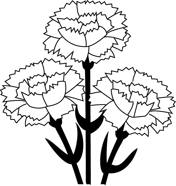 Stylized Carnation Trio