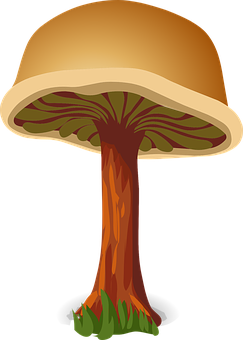 Stylized Cartoon Mushroom PNG with transparent background