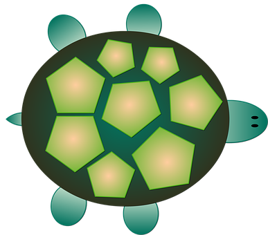 Stylized Cartoon Turtle Graphic PNG with transparent background