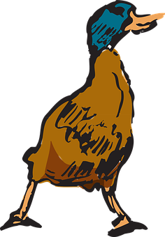 Stylized Cassowary Illustration