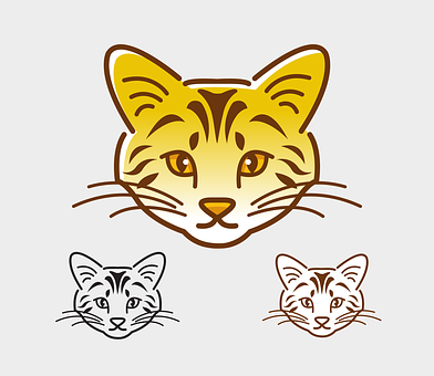 Stylized Cat Face Illustrations PNG with transparent background