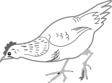 Stylized Chicken Illustration PNG with transparent background