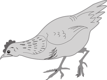 Stylized Chicken Illustration PNG with transparent background