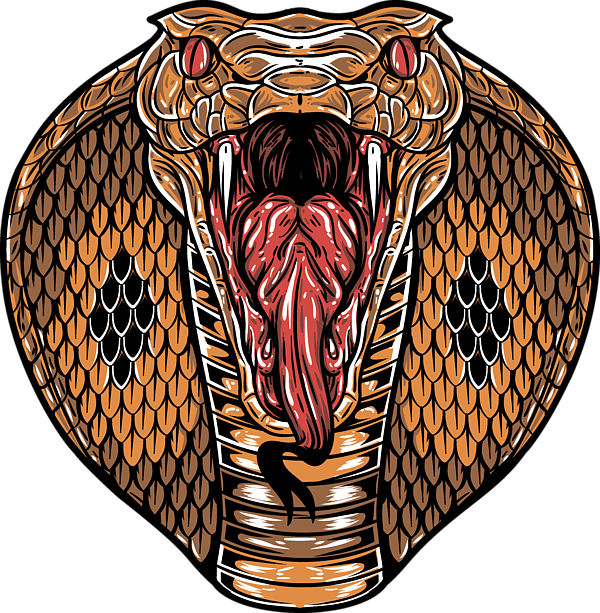 Stylized Cobra Artwork