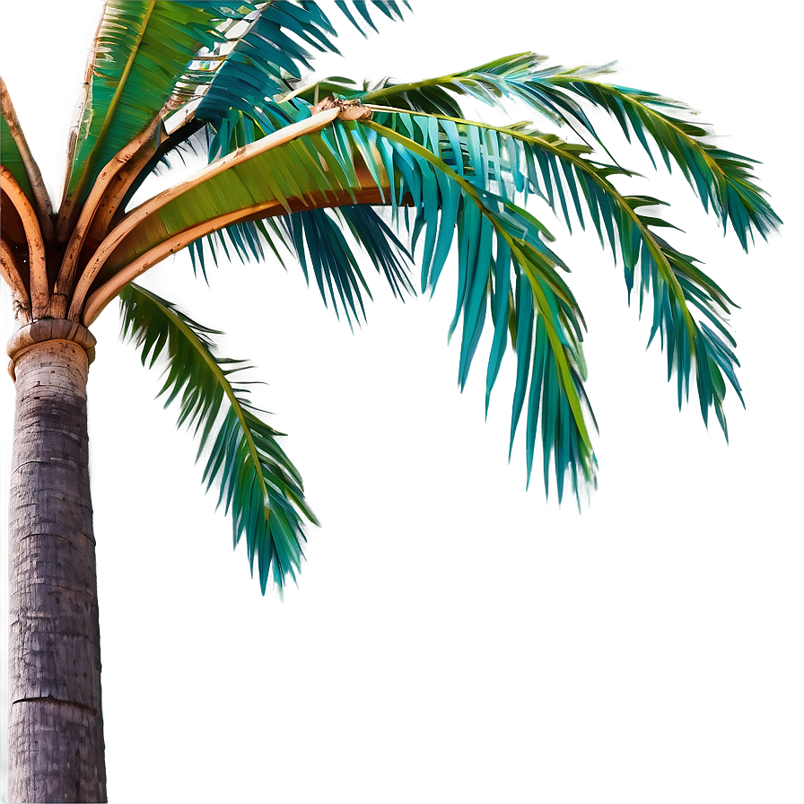 Stylized Coconut Tree PNG 7 PNG image with a transparent background, free high-resolution download