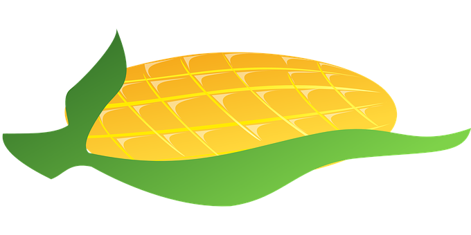 Stylized Corn Cob Illustration PNG with transparent background