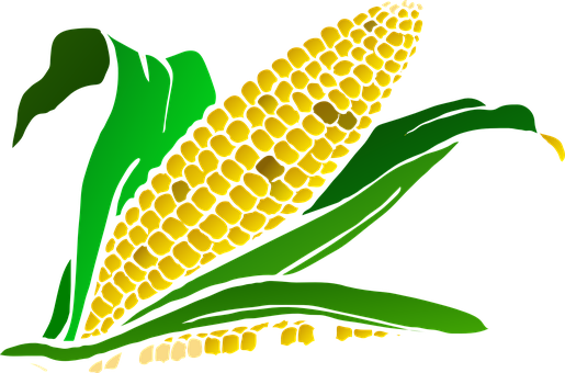 Stylized Corn Illustration PNG with transparent background