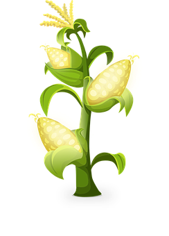 Stylized Corn Plant Illustration PNG with transparent background