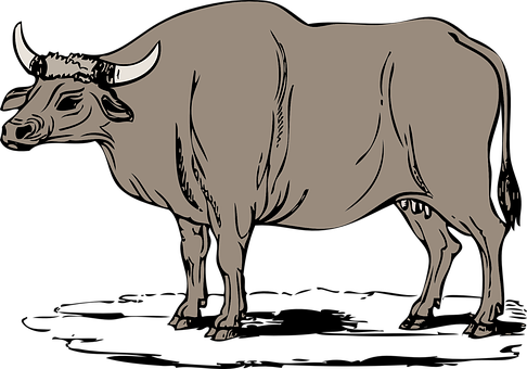 Stylized Cow Illustration