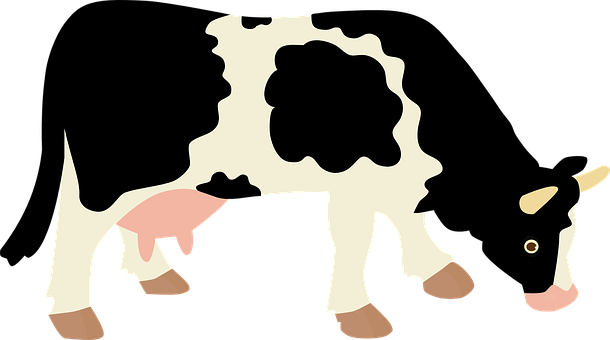 Stylized Cow Illustration