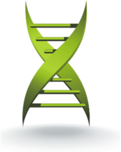 Stylized D N A Structure Graphic PNG image with a transparent background, free high-resolution download