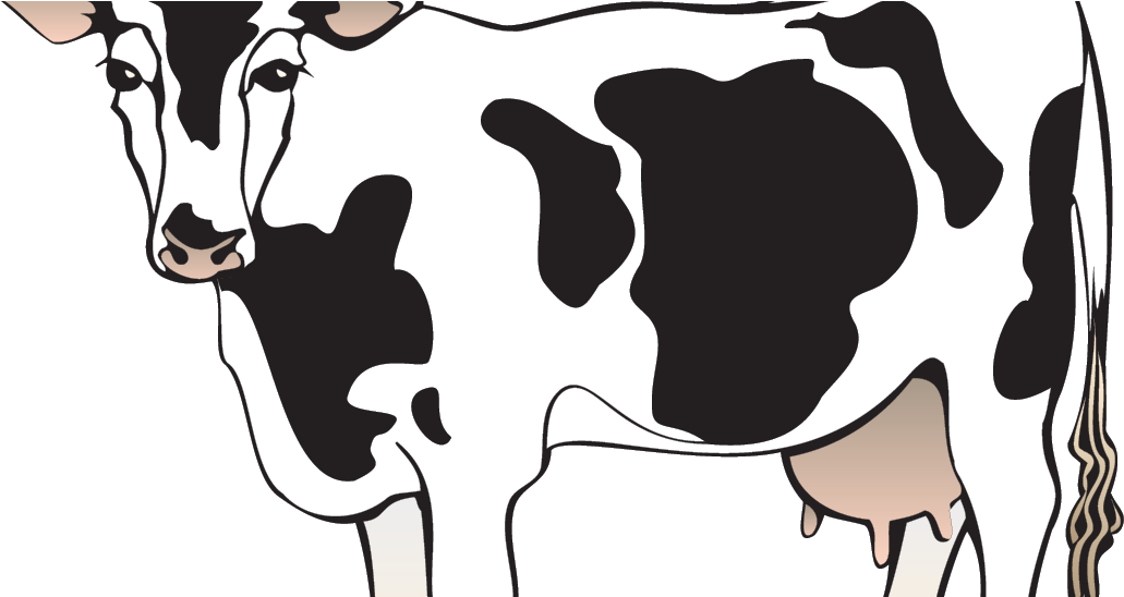 Stylized Dairy Cow Illustration