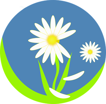Stylized Daisy Graphic PNG with transparent background