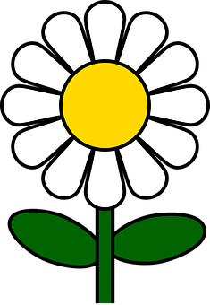 Stylized Daisy Graphic PNG with transparent background