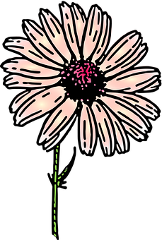 Stylized Dark Daisy Illustration PNG with transparent background