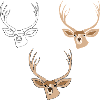 Stylized Deer Heads Triptych PNG with transparent background