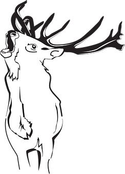 Stylized Deer Silhouette PNG with transparent background