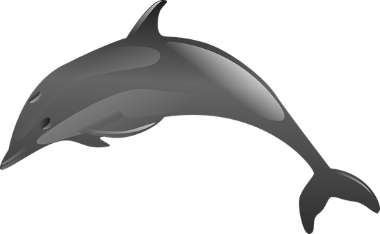 Stylized Dolphin Graphic PNG with transparent background