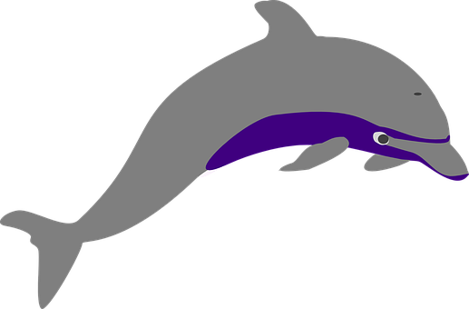 Stylized Dolphin Graphic PNG with transparent background