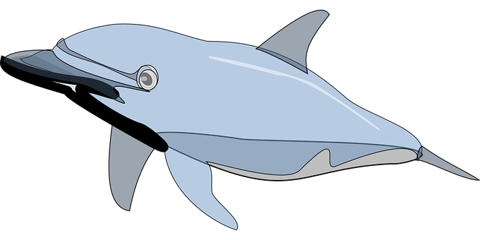 Stylized Dolphin Illustration PNG with transparent background