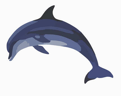 Stylized Dolphin Illustration