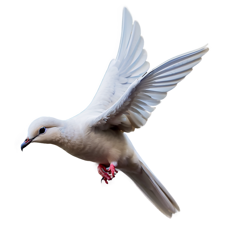 Stylized Dove Png 56