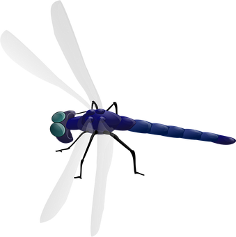 Stylized Dragonfly Illustration PNG with transparent background