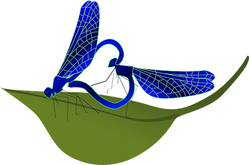 Stylized Dragonfly Illustration PNG with transparent background