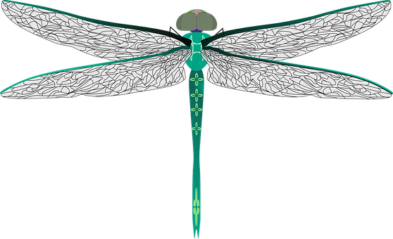 Stylized Dragonfly Illustration PNG with transparent background
