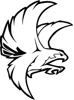 Stylized Eagle Head Outline PNG with transparent background