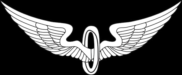 Stylized Eagle Wings Logo