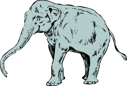 Stylized Elephant Illustration PNG with transparent background
