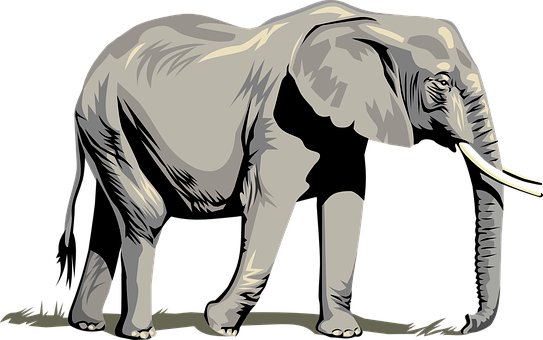 Stylized Elephant Illustration PNG with transparent background
