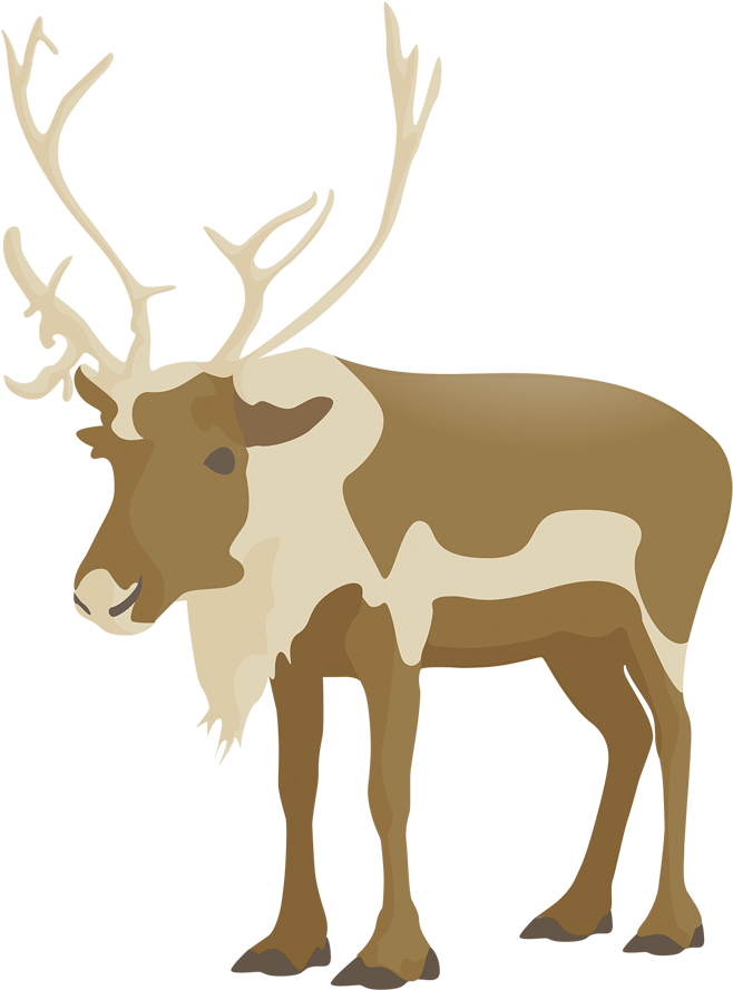 Flat Deer Vector - Elk, HD Png Download PNG with transparent background