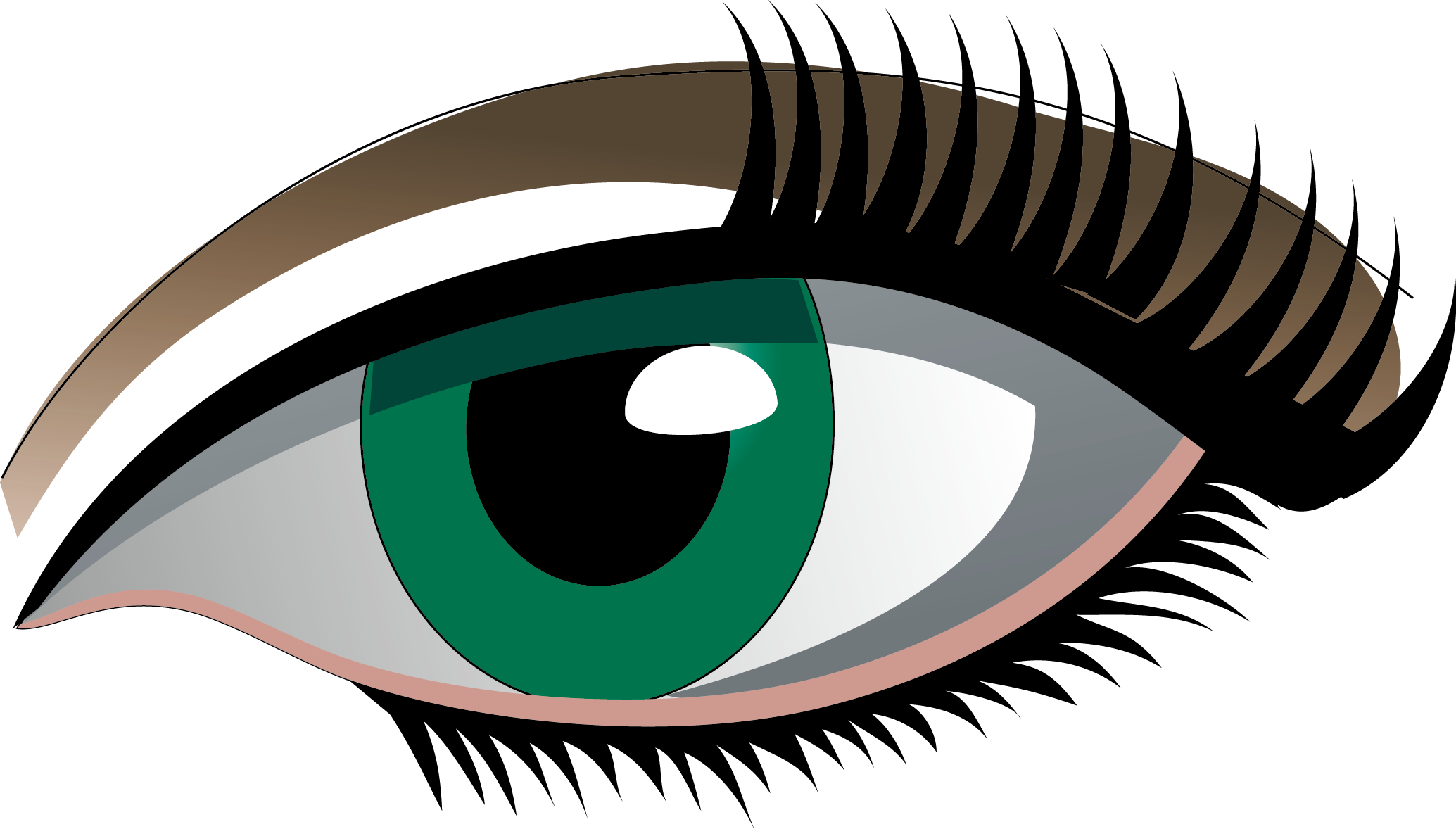 Eyelash Clipart Simple Eye - Eyes Vector Png, Transparent Png PNG with transparent background