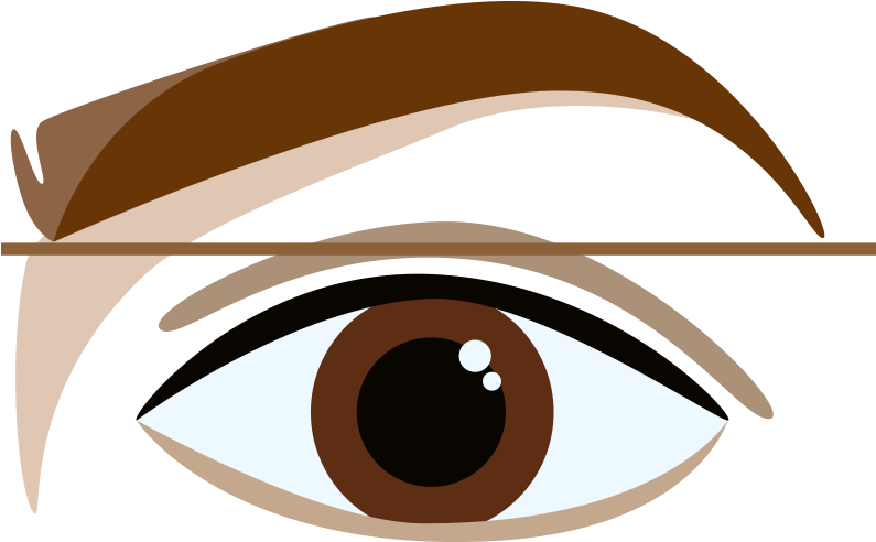 Stylized Eyeand Eyebrow Illustration PNG with transparent background