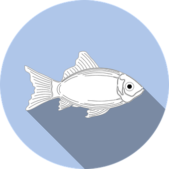 Stylized Fish Graphic