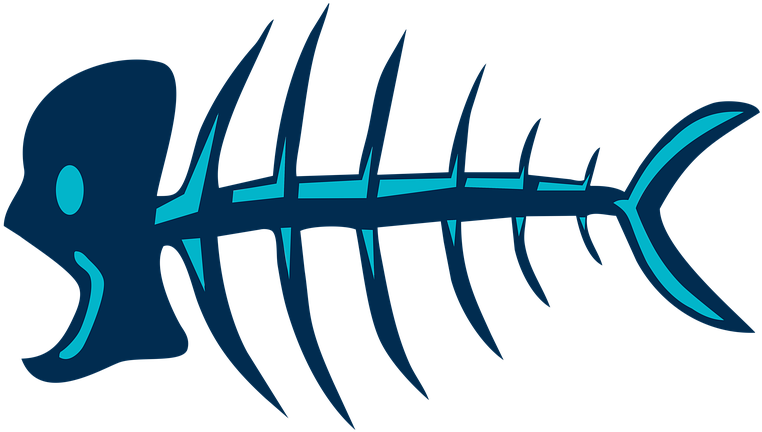 Fish, Fish Bones, Bones, Skeleton, Bone, Fishing - Dead Fish Bone Png, Transparent Png PNG with transparent background