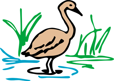 Stylized Flamingo Artwork PNG with transparent background