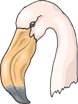 Stylized Flamingo Head Illustration