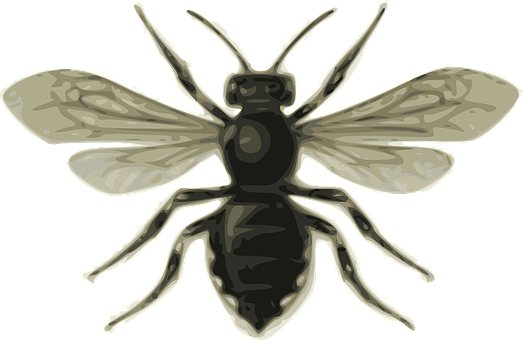 Stylized_ Flying_ Insect_ Illustration PNG with transparent background