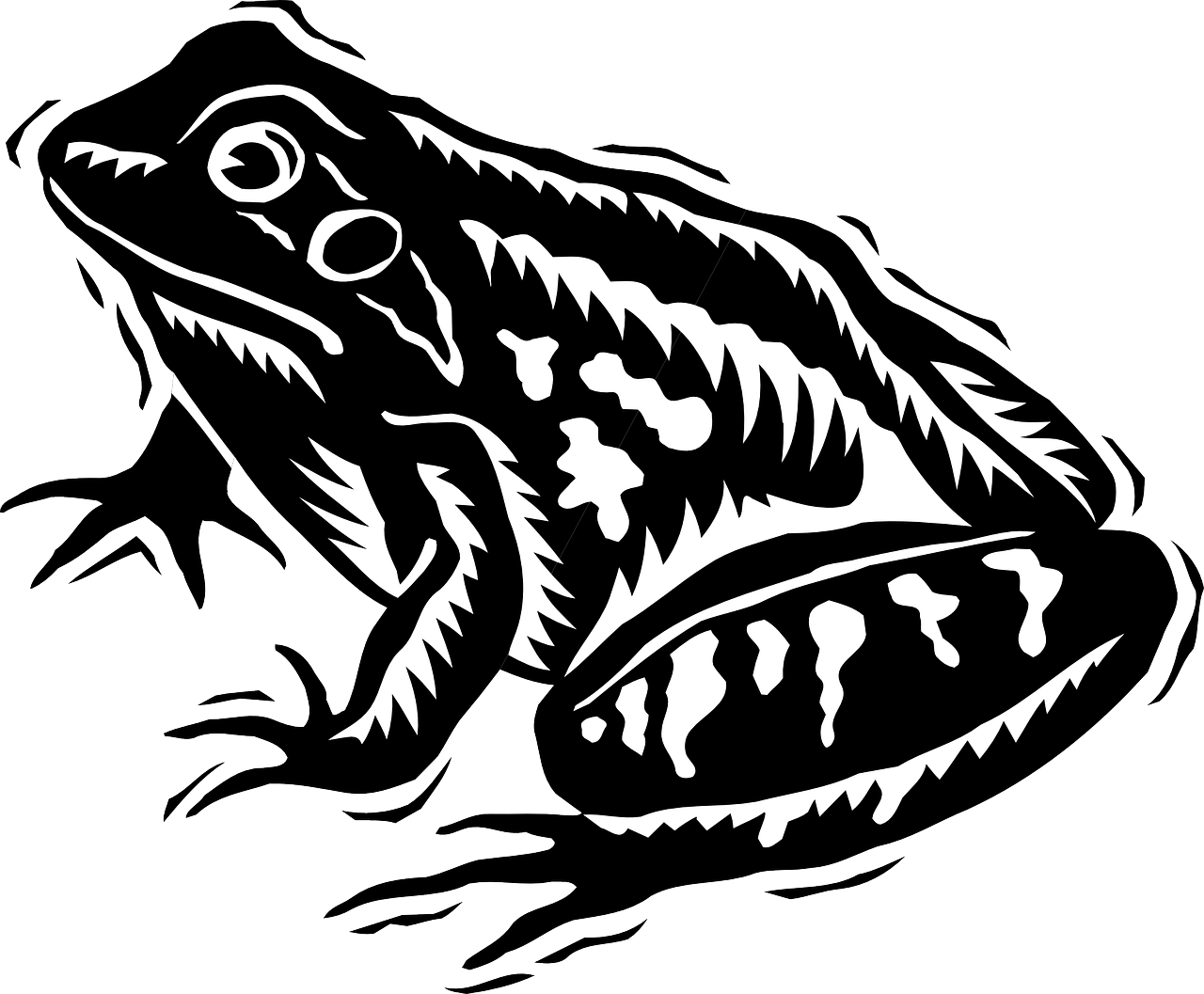 Black And White Frog Svg, HD Png Download PNG with transparent background