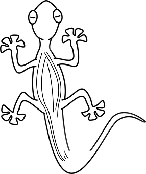 Stylized Gecko Silhouette