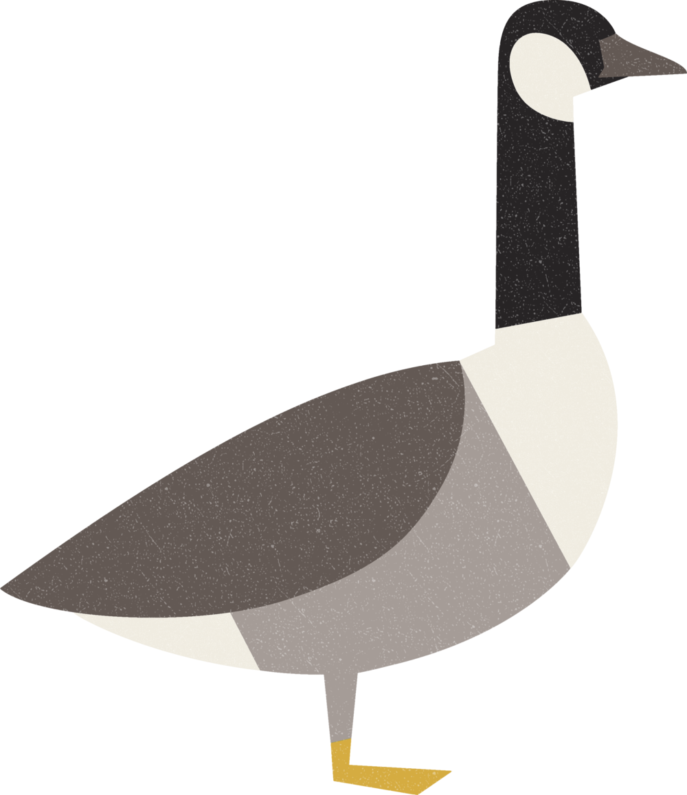 Stylized Goose Illustration