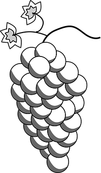 Stylized Grape Cluster Graphic PNG with transparent background